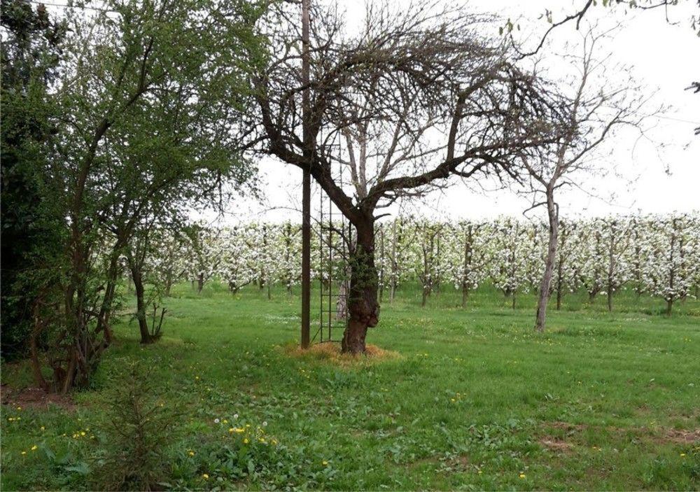 Agriturismo Dosso Al Porto Villa Rolo Bagian luar foto