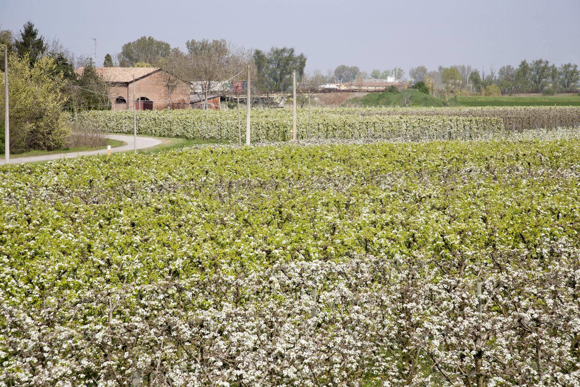 Agriturismo Dosso Al Porto Villa Rolo Bagian luar foto